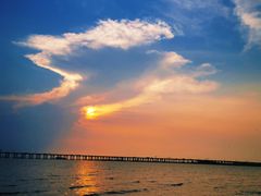 -宝安西湾红树林湿地公园