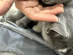 -派特宠物医院(圆融广场店)