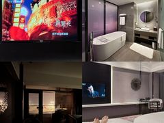 -南京禄口机场雅高铂尔曼大酒店