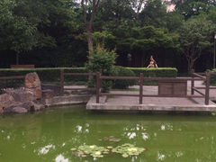 iphone_upload_pic-江湾公园