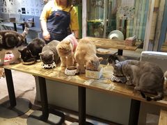 -小时光咖啡馆(开森度假森林店)