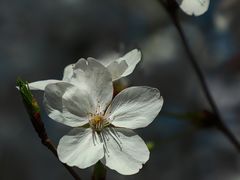 -龙美术馆(西岸馆)
