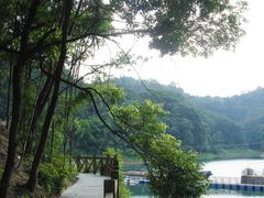-广州市流溪河国家森林公园