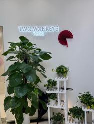 -Two  Monkeys 孕婴写真馆(龙华店)