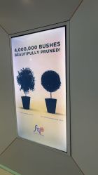 -Browhaus眉睫沙龙