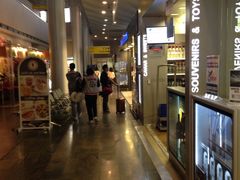 -谢列梅捷沃国际机场