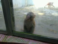 -广东茂名森林公园
