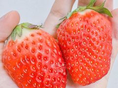 -盒马鲜生(大都荟店)