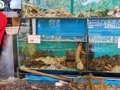 水产区-香山家宴