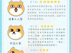-美联众合动物医院·24h转诊中心