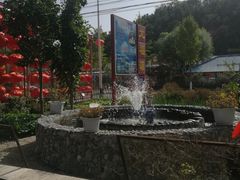 -龙福源密云水库灶台鱼
