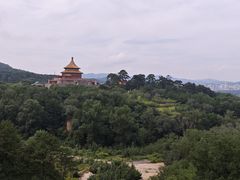 -磬锤峰森林公园