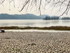 -东湖落雁景区