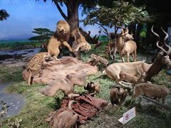 -国家自然博物馆