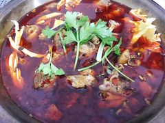 -重庆特色冷锅鱼(武大店)