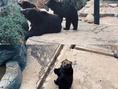 -昆明动物园