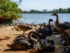 -艾溪湖湿地公园