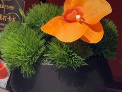 -阿五黄河大鲤鱼(建业路店)