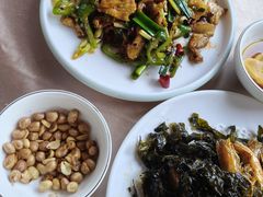 -鲤鱼塘农家山庄