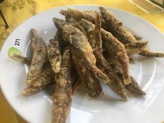 -胖哥八兄弟大排挡(植村店)