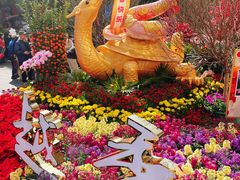 -越秀西湖花市(广州城市广场花卉店)