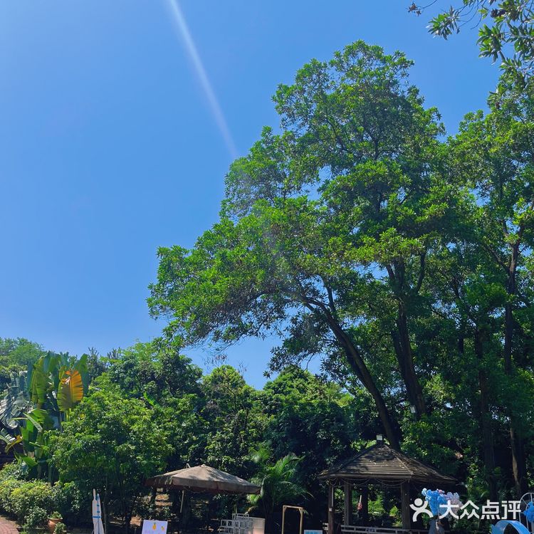周末亲子餐厅推荐红城堡🏰庄园主题餐厅🍴
