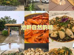 -横琴湖畔美食