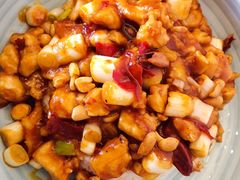 宫保鸡丁盖饭-西部马华清真食府·丝路菜(大钟寺店)
