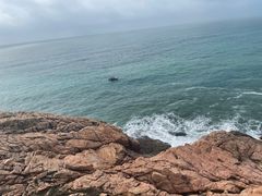 -广东惠东海龟国家级自然保护区