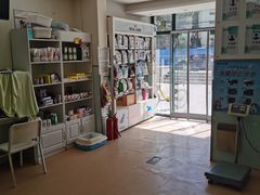 -瑞派·关忠动物医院·猫专科·犬专科(三环新城店)