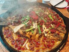 -老板恋上鱼(恒隆广场店)