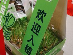 -海底捞火锅(正大乐城店)