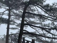 -萍乡武功山风景名胜区