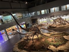 -自贡恐龙博物馆