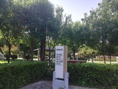 -唐城墙遗址公园