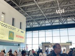 -米兰-马尔彭萨机场