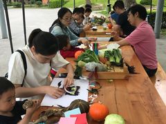 -上海多利农业发展有限公司