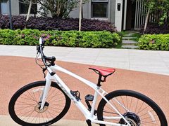 -TREK崔克自行车(徐汇滨江店)