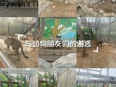 -济南野生动物世界