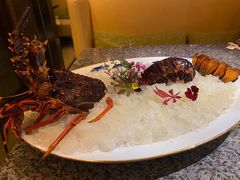 澳洲龙虾-辉哥火锅(虹桥路店)