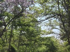 -棒棰岛宾馆景区