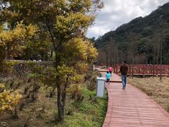 -广州市石门国家森林公园