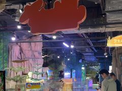 -正佳雨林生态植物园