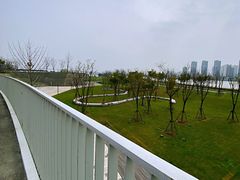 -上海山野camping·户外天幕烧烤·团建拓展营地