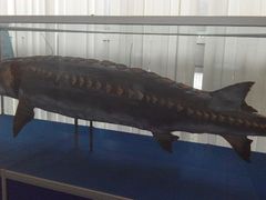 android_upload_pic-上海海洋大学鱼文化博物馆(军工路校区)