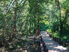 -国家植物园南园