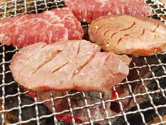 -大阪烧肉BAKA一代(十亩地店)