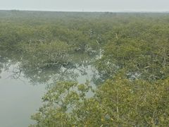 android_upload_pic-北海金海湾红树林生态旅游区