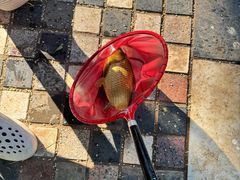 -酷鱼垂钓CLUB(朝阳区博大路店 )