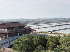 -大湾区中央湿地公园
